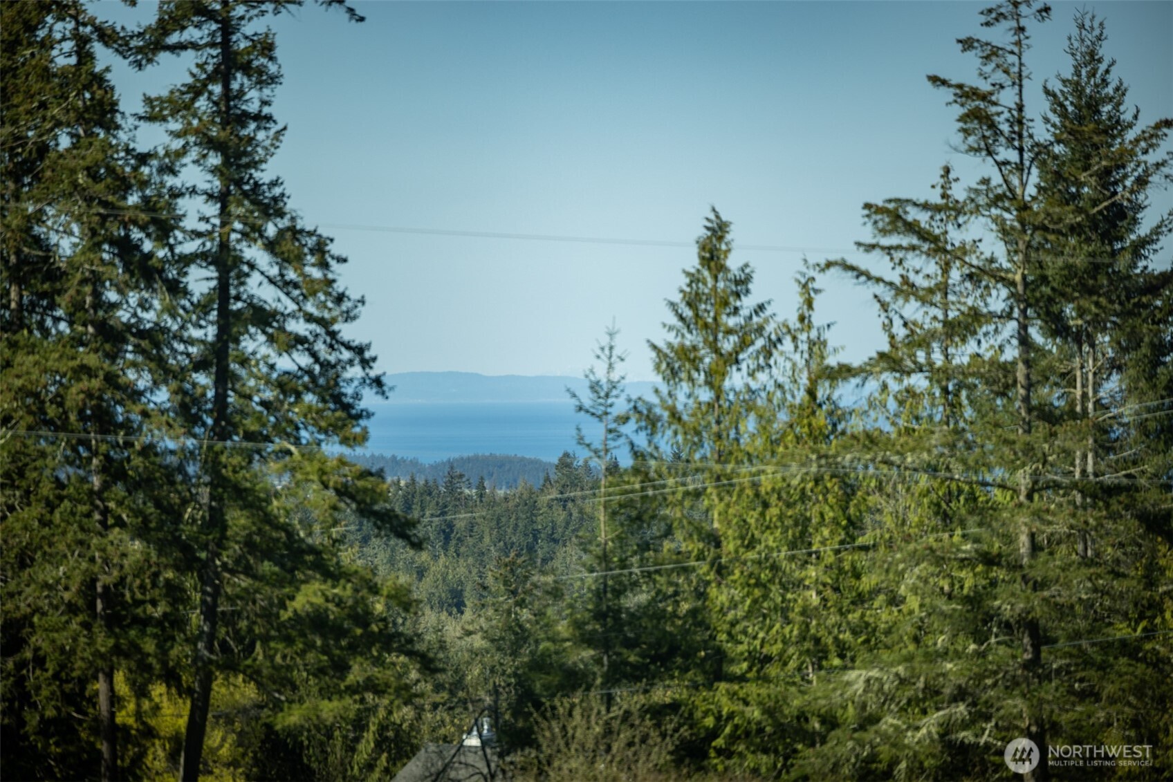 43 Sofie Road Sequim, WA 98382 - Photo 2 of 40