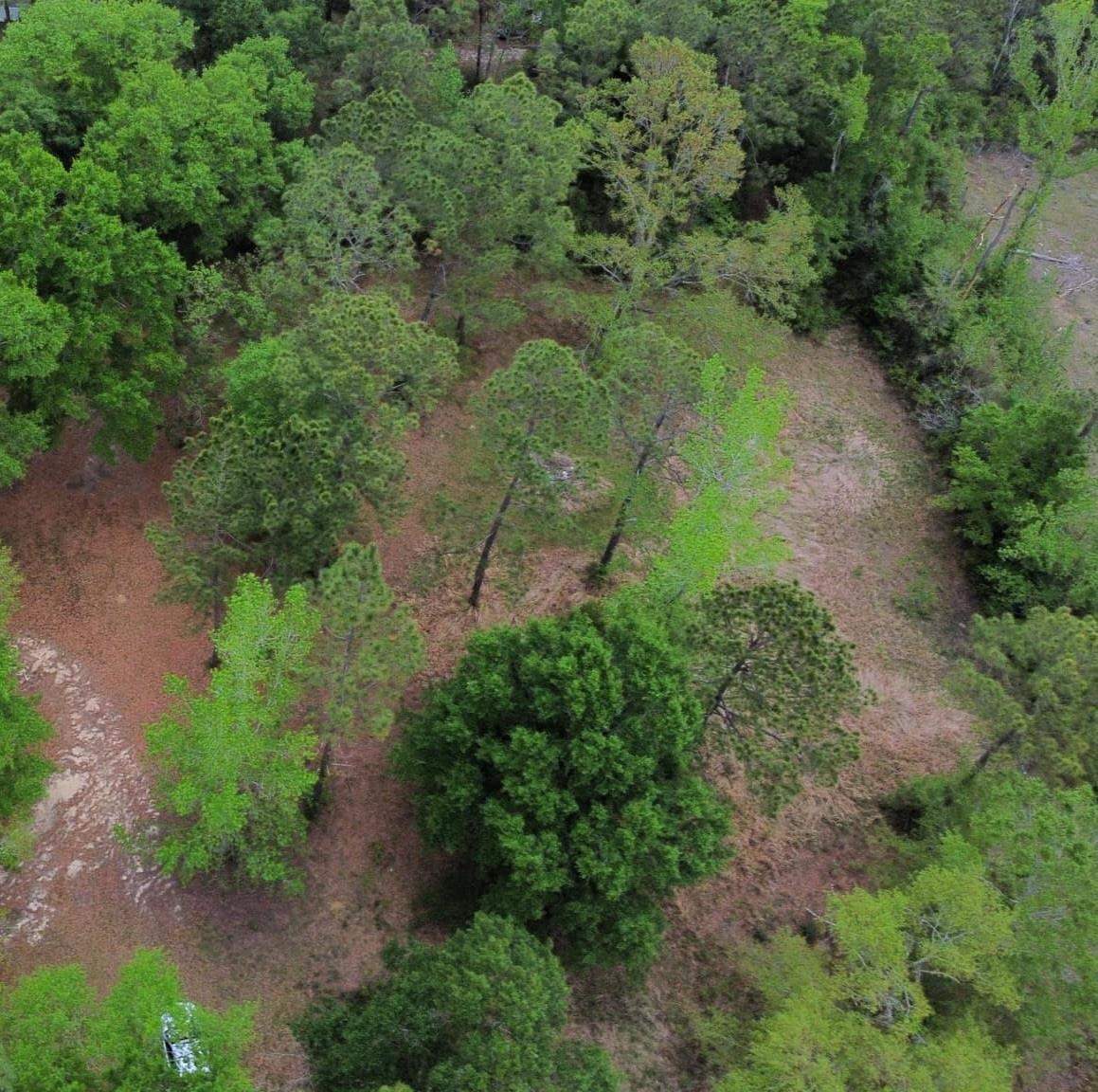 24407 Patterson Road Robertsdale, AL 36567 - Photo 14 of 18 Aerial View