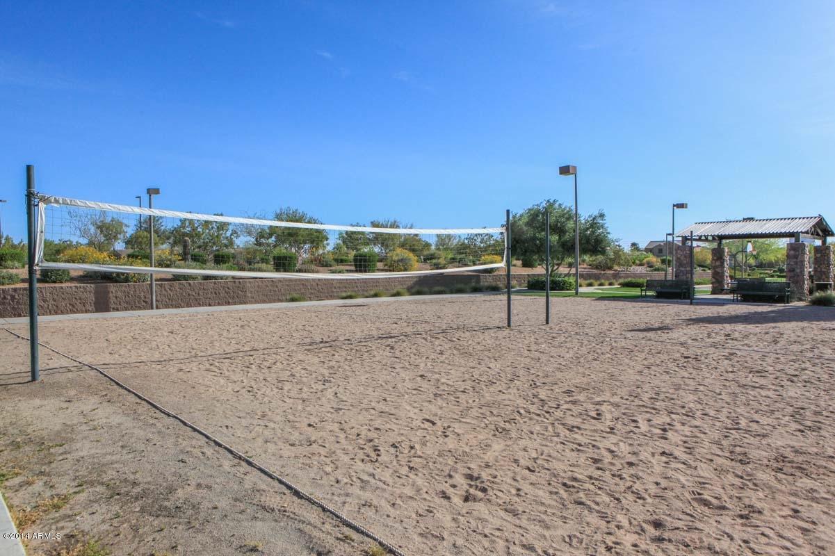 6253 South Rochester Drive Gilbert, AZ 85298 - Photo 54 of 54 Shamrock Estates Volleyball Court
