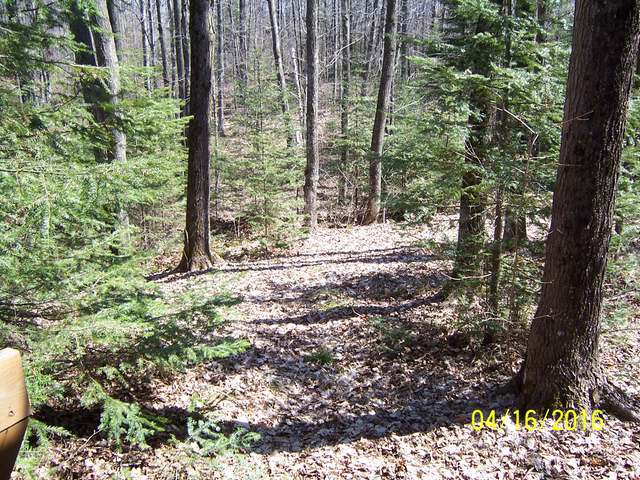 3205 Donut Lake Road Crandon, WI 54520 - Photo 15 of 19 Gallery Image 15