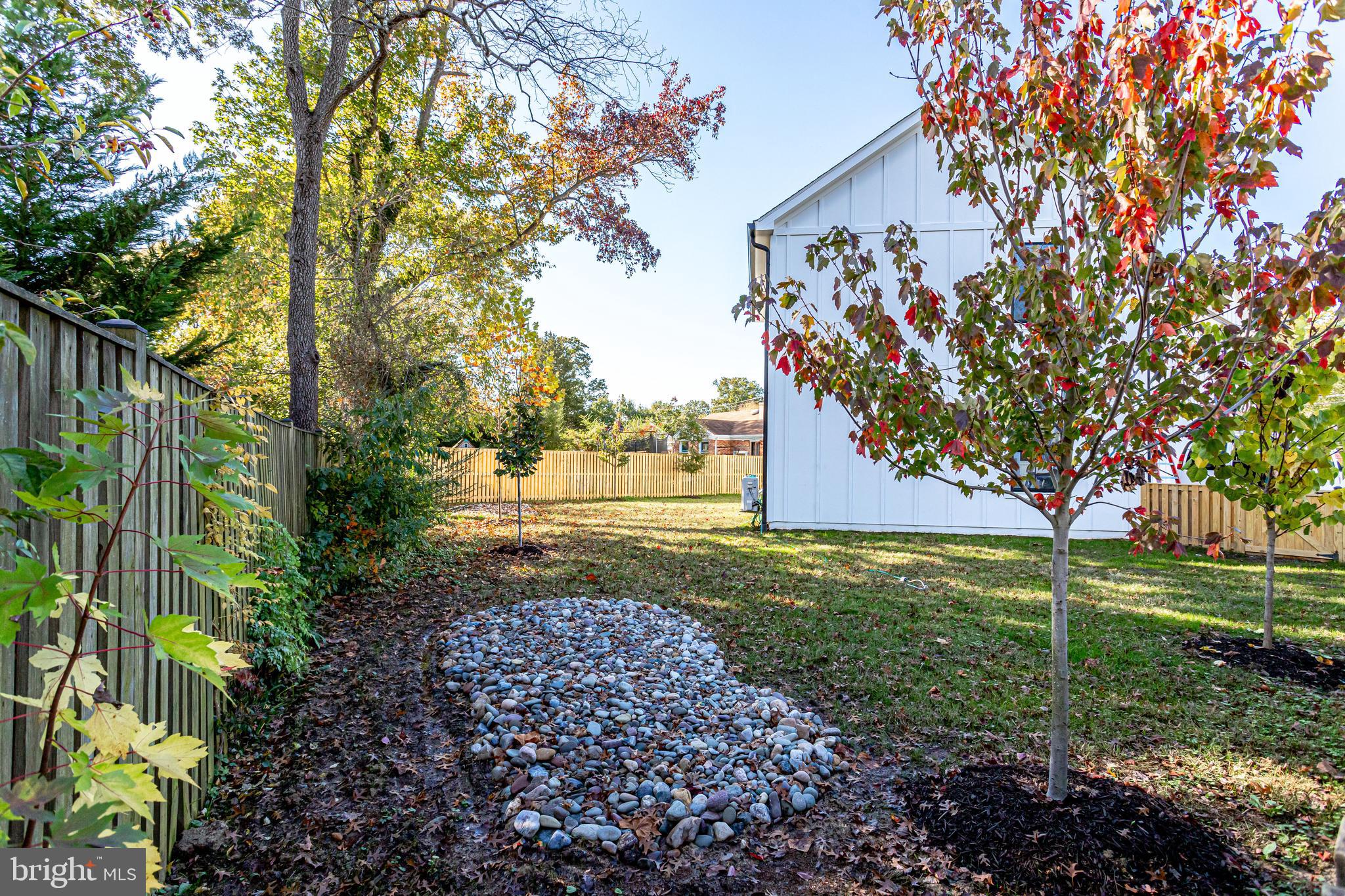 1609 Shenandoah Road Alexandria, VA 22308 - Photo 100 of 102 Backyard