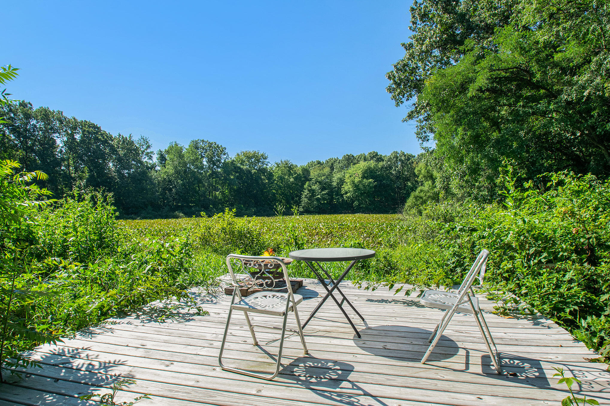 65510 Dailey Road Edwardsburg, MI 49112 - Photo 16 of 49 DSC_9921