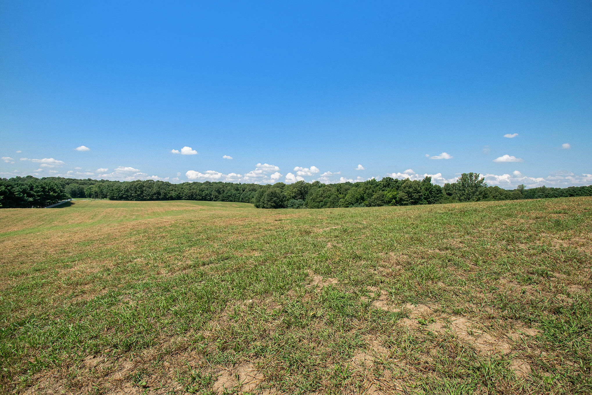 65510 Dailey Road Edwardsburg, MI 49112 - Photo 39 of 49 DSC_9989