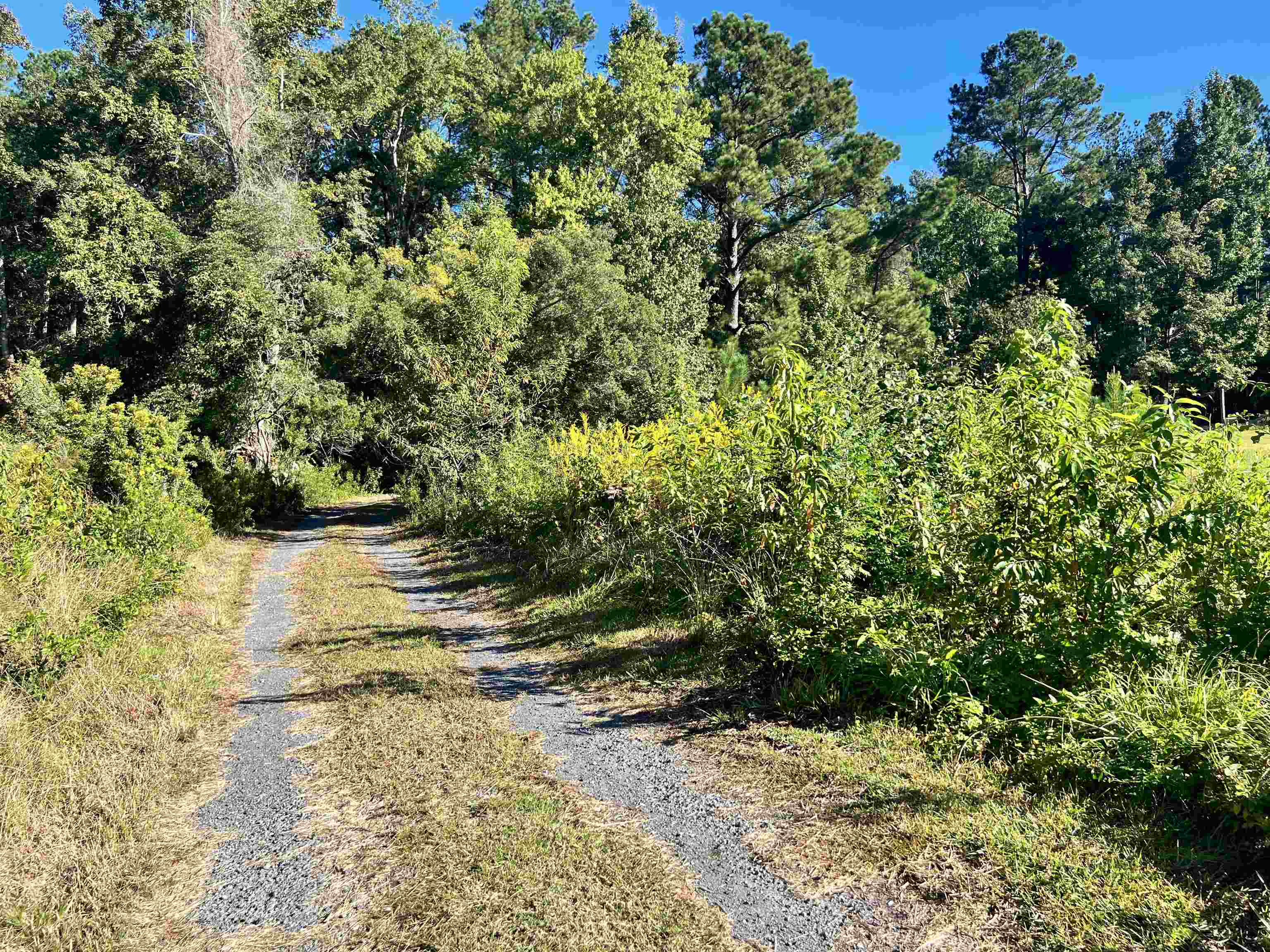 145 County Rd S-45-560 Nesmith, SC 29580 - Photo 25 of 26