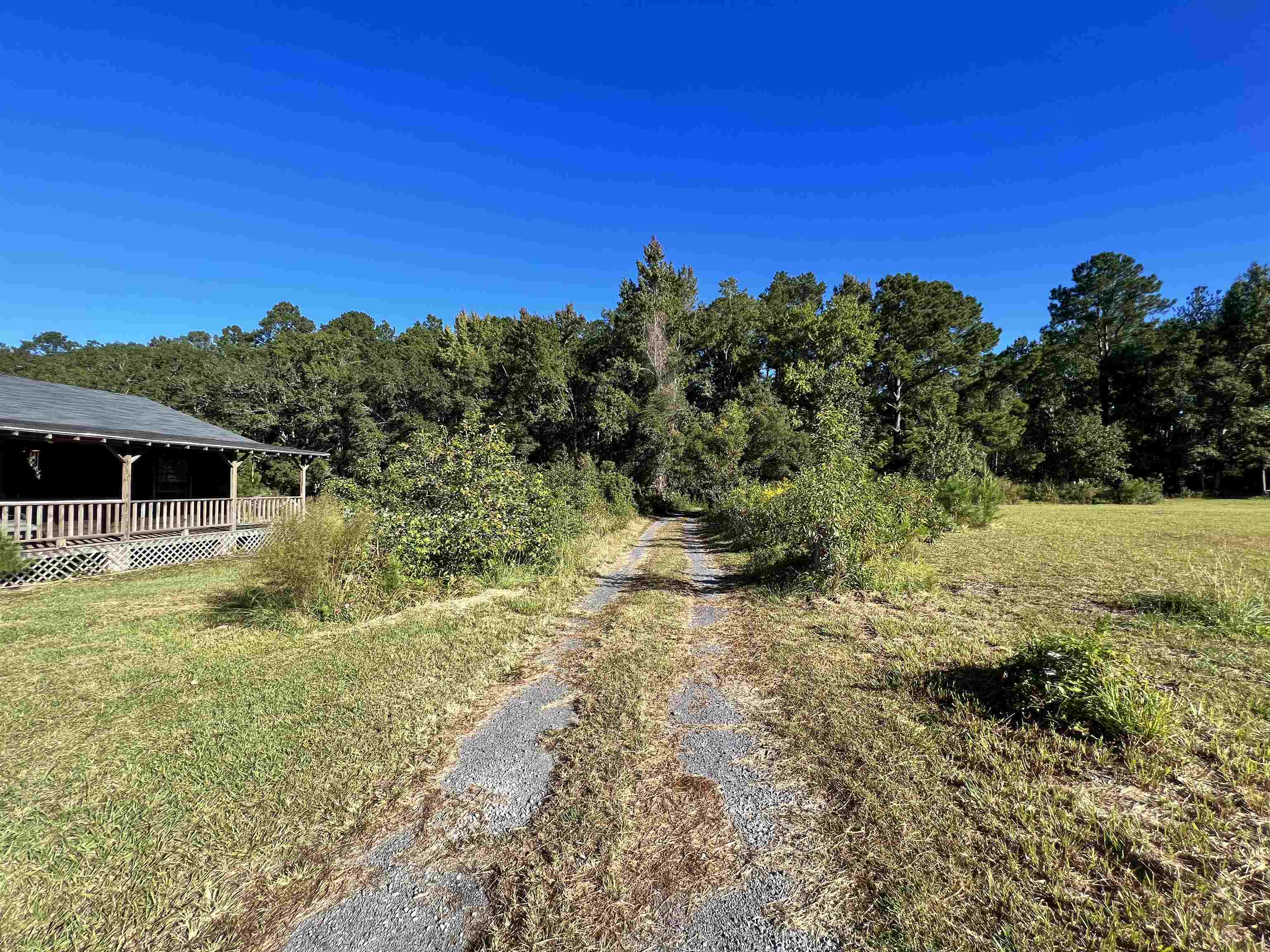 145 County Rd S-45-560 Nesmith, SC 29580 - Photo 3 of 26