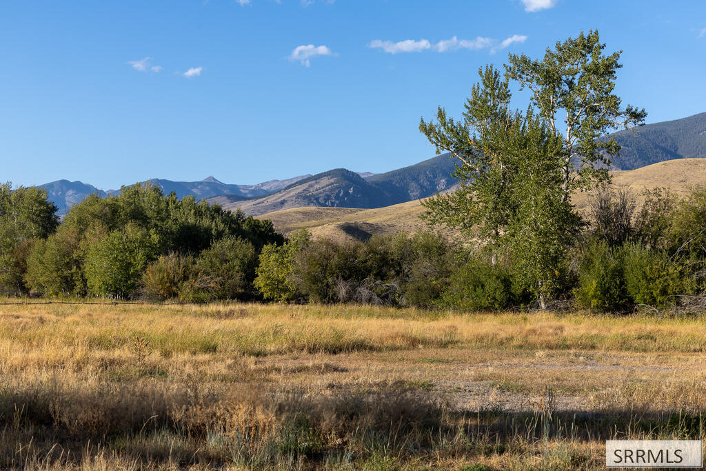 1705 Lemhi Road Salmon, ID 83467 - Photo 41 of 149 Gallery Image 41