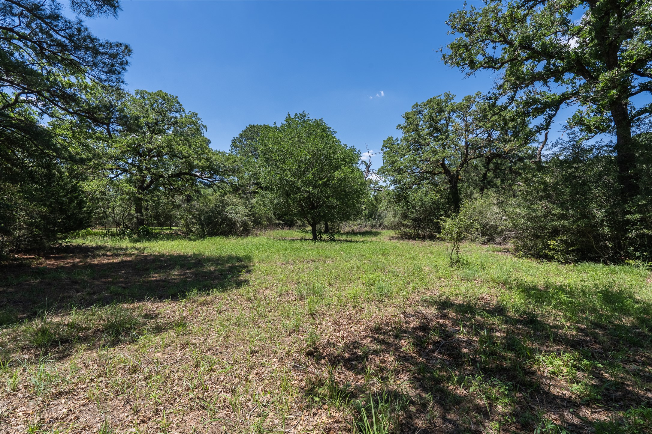 133 Roundup Ridge Smithville, TX 78957 - Photo 5 of 11 Build site cleared.