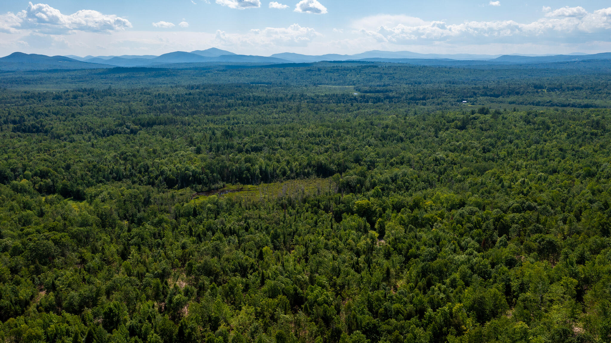 0 Miller Road New Vineyard, ME 04956 - Photo 16 of 48 MNewportland-10