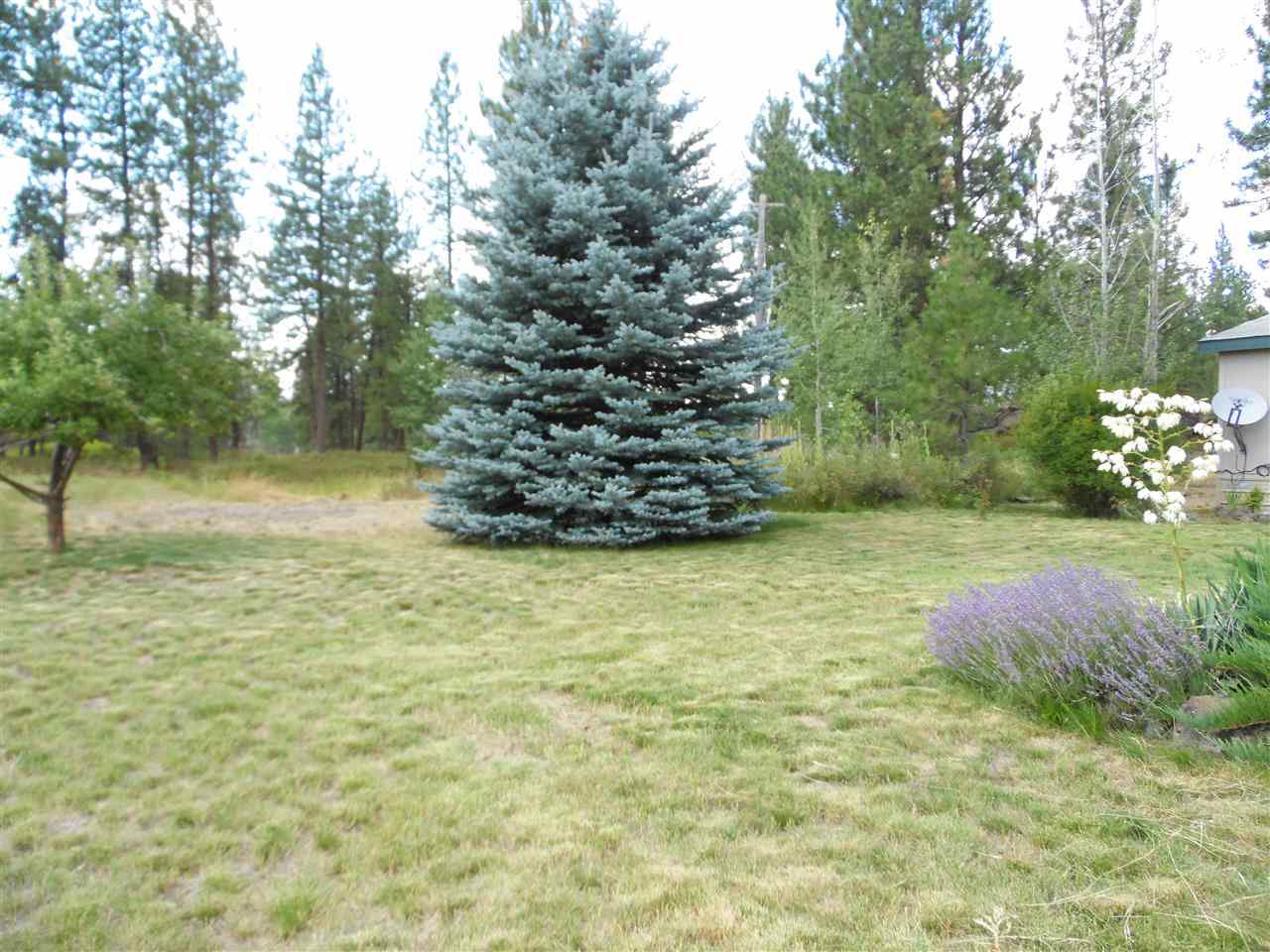 27818 West Tucker Prairie Road Edwall, WA 99008 - Photo 15 of 20