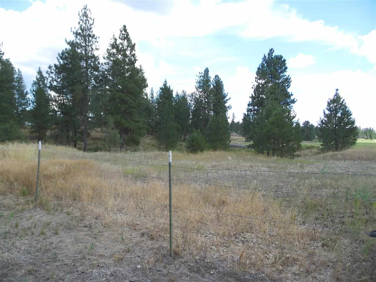 27818 West Tucker Prairie Road Edwall, WA 99008 - Photo 16 of 20