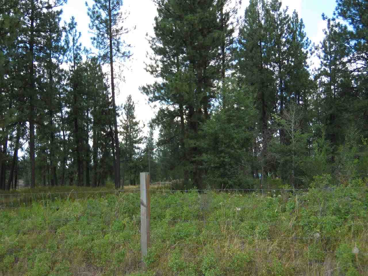 27818 West Tucker Prairie Road Edwall, WA 99008 - Photo 17 of 20