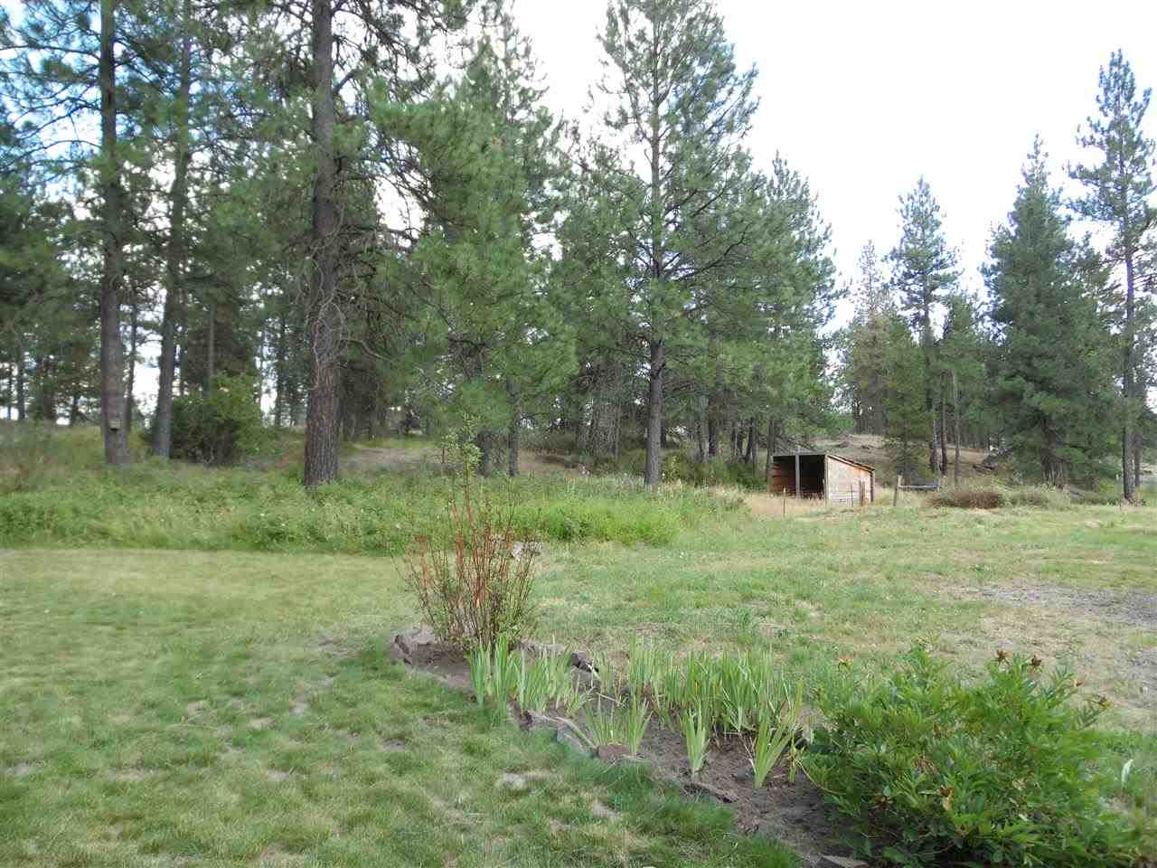 27818 West Tucker Prairie Road Edwall, WA 99008 - Photo 19 of 20