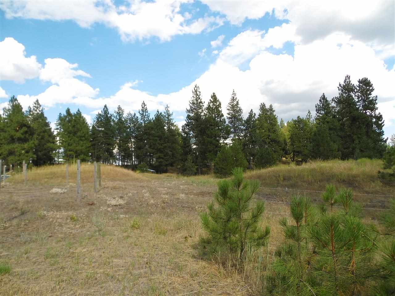 27818 West Tucker Prairie Road Edwall, WA 99008 - Photo 20 of 20