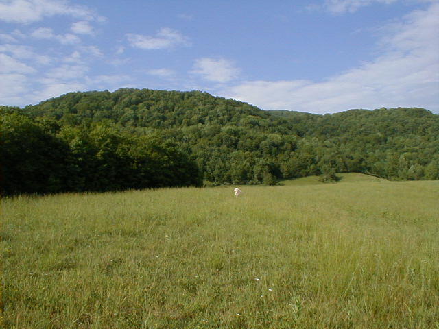 248 Somerset Farm Road Meadow Bridge, WV 25976 - Photo 97 of 98 Gallery Image 97