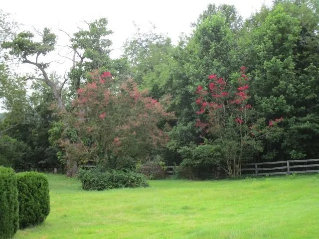 $306,000 | 37 Oak Grove Lane, Nellysford, VA 22958