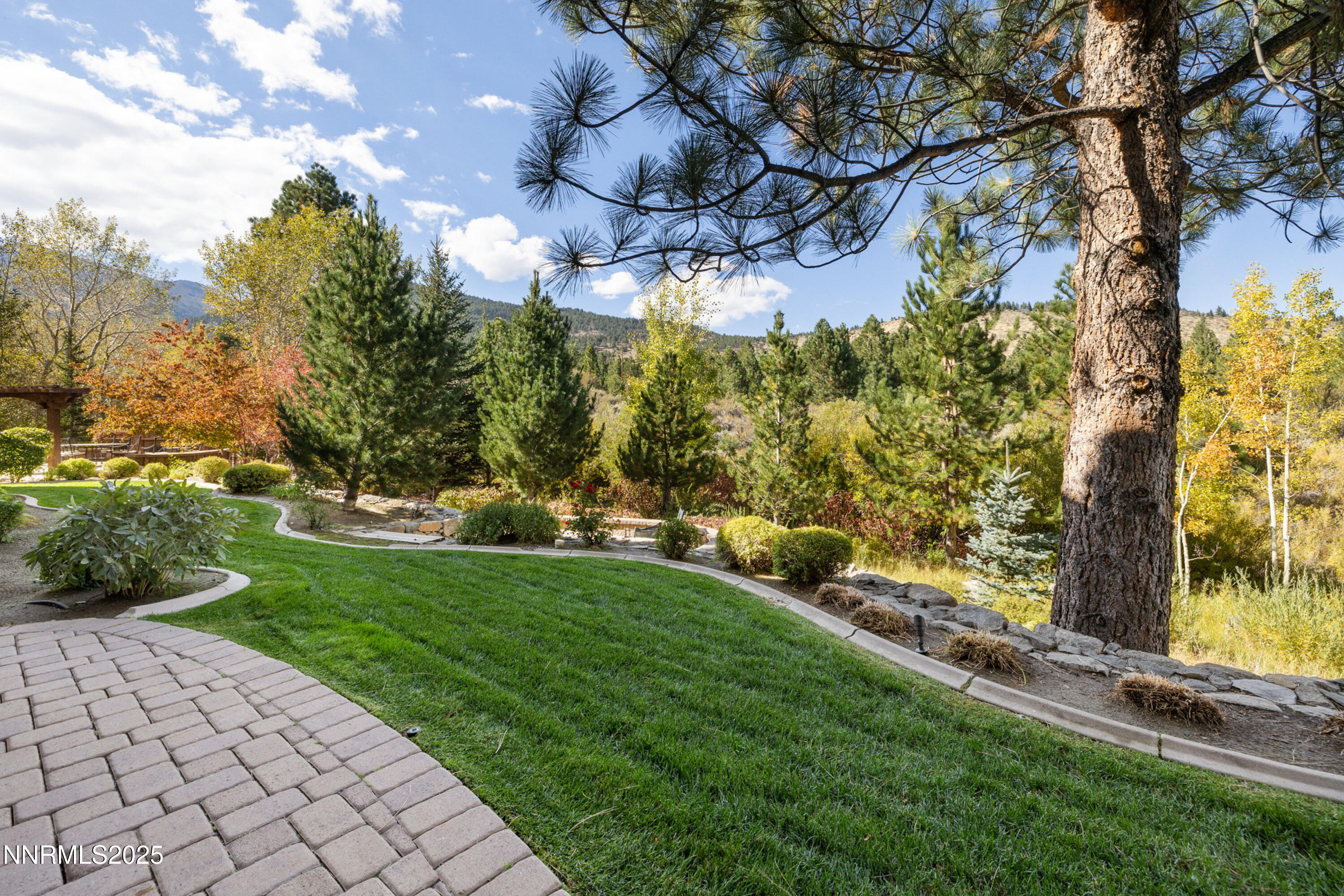 5775 Lausanne Drive Reno, NV 89511 - Photo 60 of 69 a view of a yard with plants and a bench