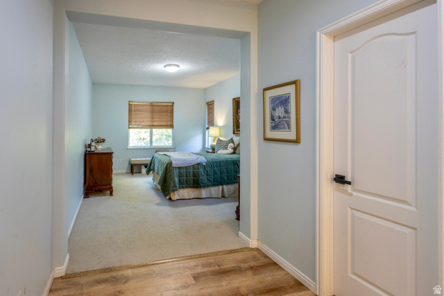 11751 Lake Run Road South Jordan, UT 84009 - Photo 15 of 38 Entryway with wood-finish flooring opening into a carpeted room with light blue wall paint and a window with blinds