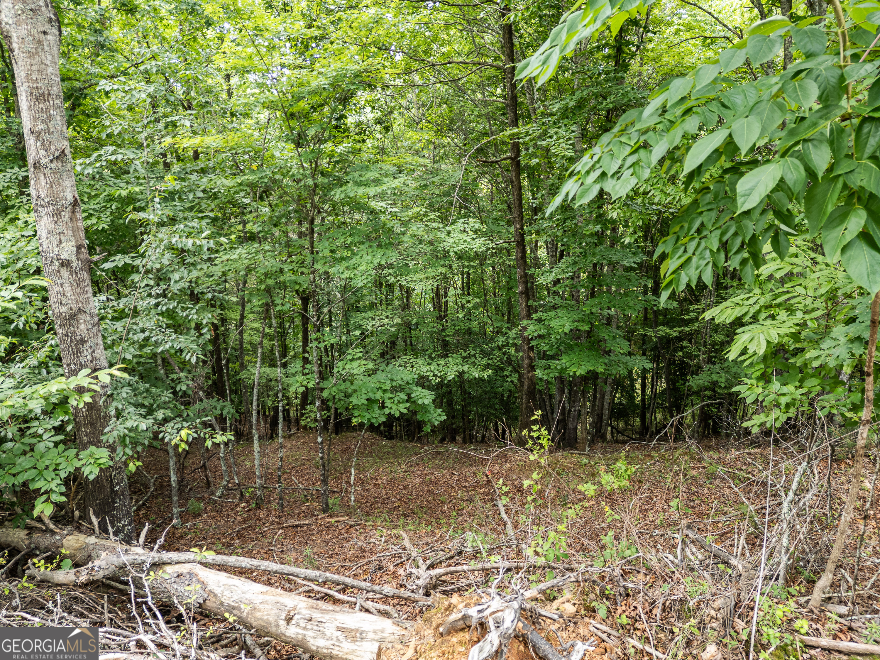 1 Stormy Ridge Brasstown, NC 28902 - Photo 9 of 20