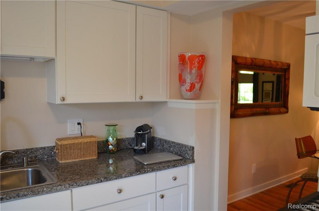 1576 Gas Light Lane Rochester, MI 48306 - Photo 25 of 49 DSC_0020.jpg