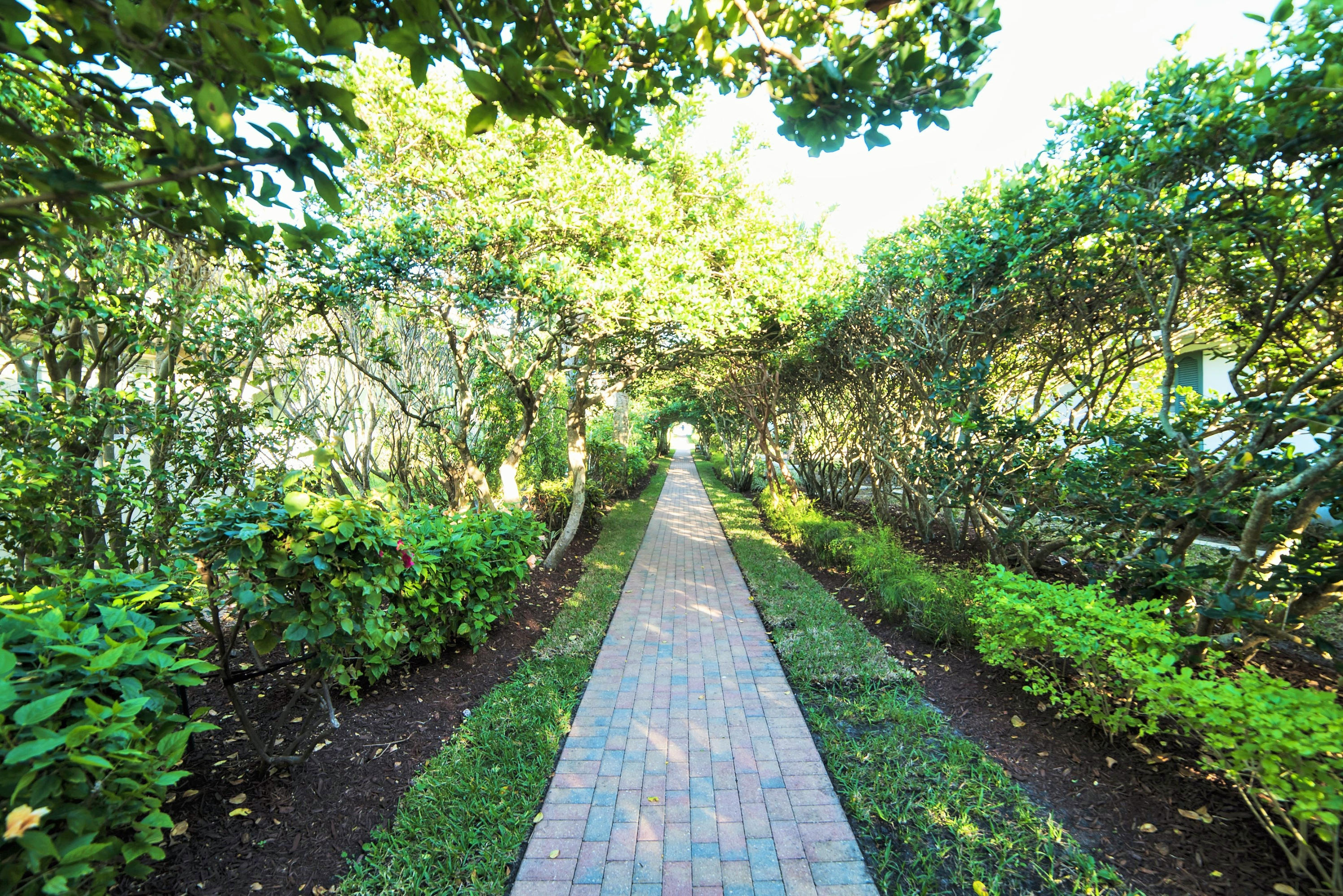 65 Colony Road Jupiter, FL 33469 - Photo 24 of 29 Beach Walkway