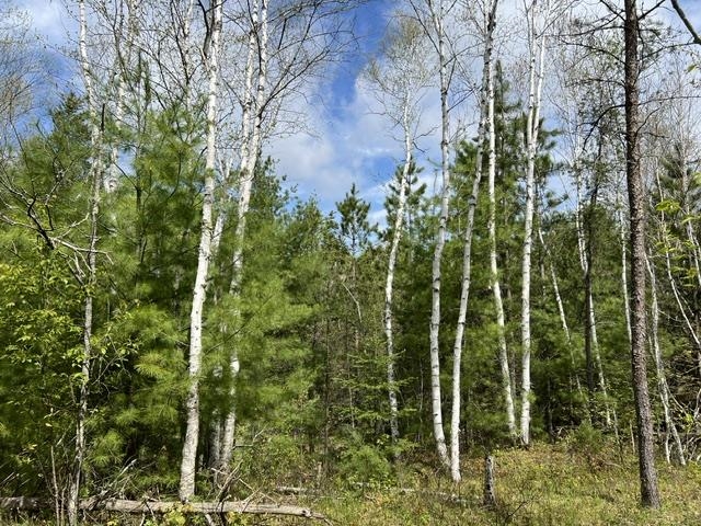 W8001 East Cataline Road Pembine, WI 54156 - Photo 22 of 27