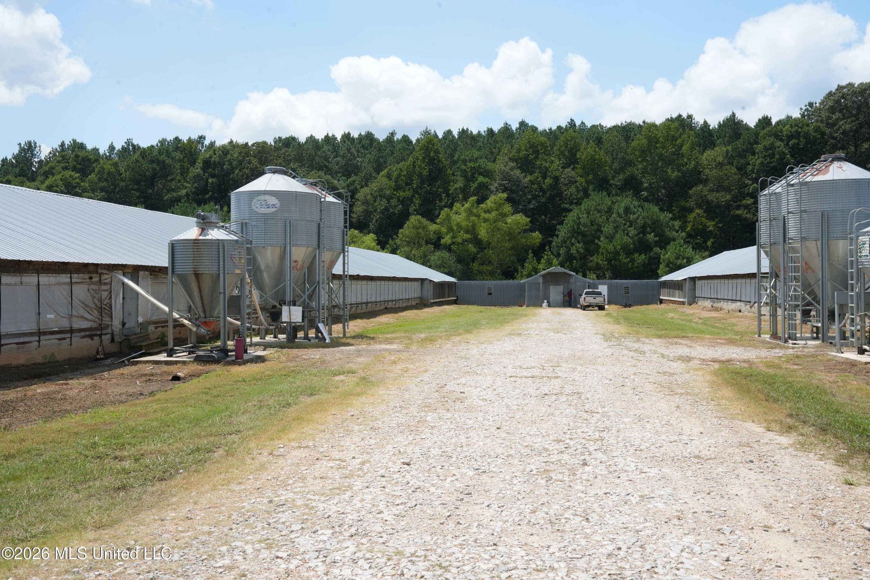 10671 Ms-427 Carthage, MS 39051 - Photo 9 of 44 DSC08886