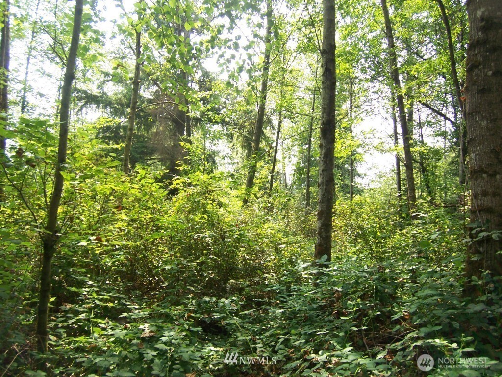 12008 Wagner Road Monroe, WA 98272 - Photo 1 of 1 Gallery Image 1