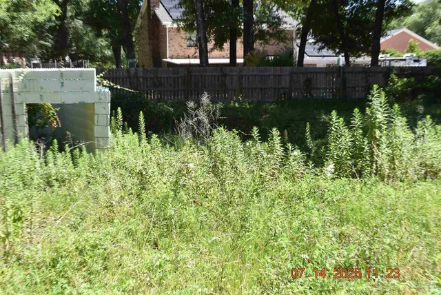 a backyard of a house with lots of green space