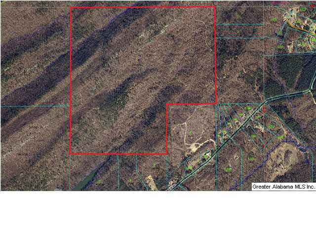 Cook Springs Road, Unit 320 Pell City, AL 35125 - Photo 2 of 24 Gallery Image 2