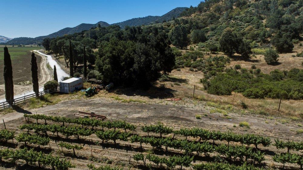 24.5-acres Cienega Road Paicines, CA 95043 - Photo 19 of 38