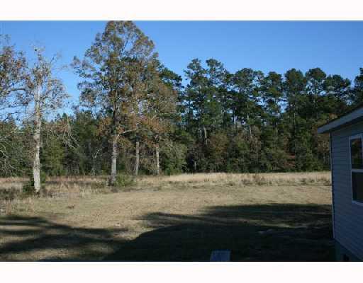 22596 Cuba Wheat Road Livingston, LA 70754 - Photo 8 of 8 Gallery Image 8