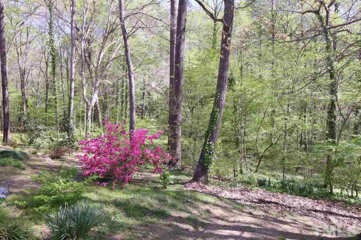 4906 Connell Drive Raleigh, NC 27612 - Photo 22 of 25 Gallery Image 22