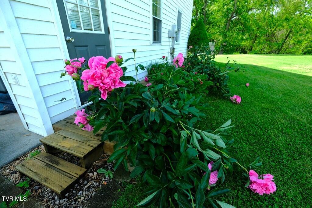 26145 Watauga Road Abingdon, VA 24211 - Photo 20 of 59 99586_23