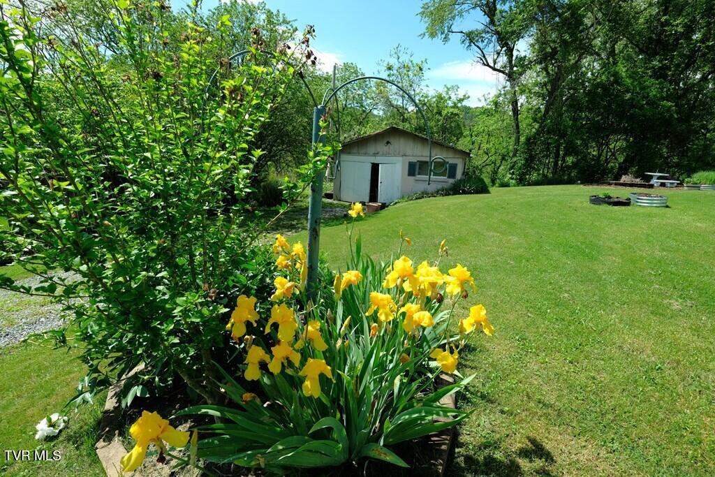 26145 Watauga Road Abingdon, VA 24211 - Photo 4 of 59 99586_4