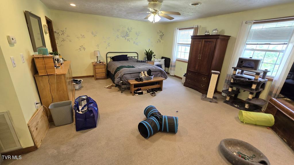 26145 Watauga Road Abingdon, VA 24211 - Photo 41 of 59 99586_48