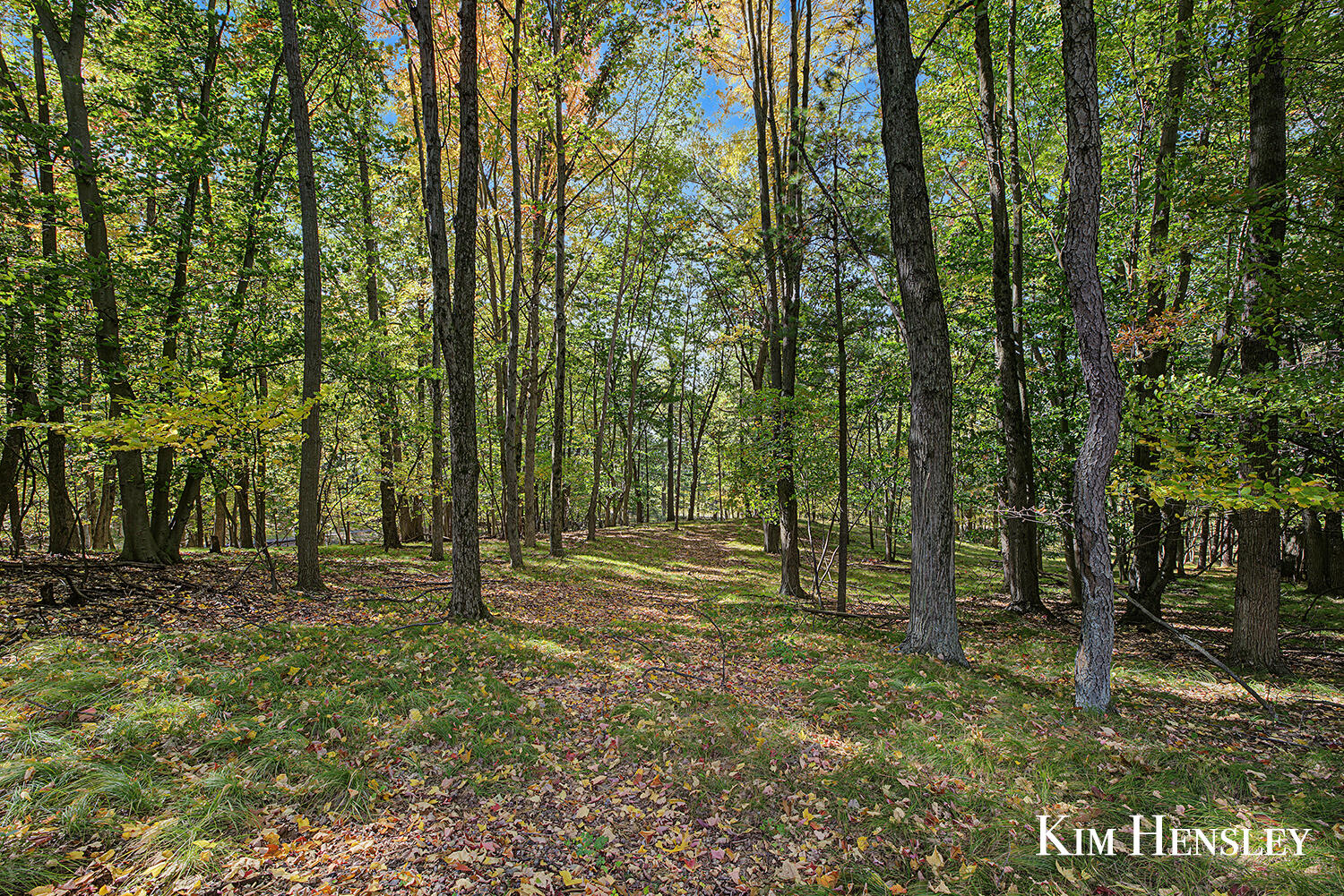 3948 North Holland Road Stanton, MI 48888 - Photo 59 of 67 217A0560