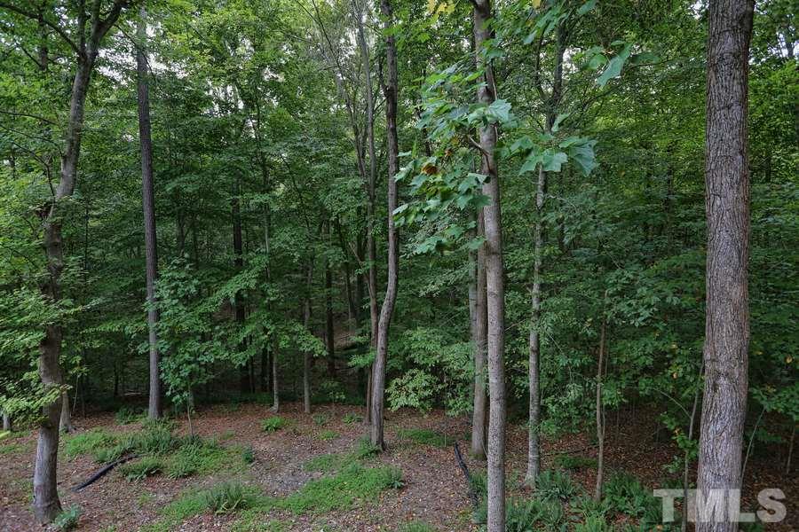 1420 Bascomb Drive Raleigh, NC 27614 - Photo 23 of 23
