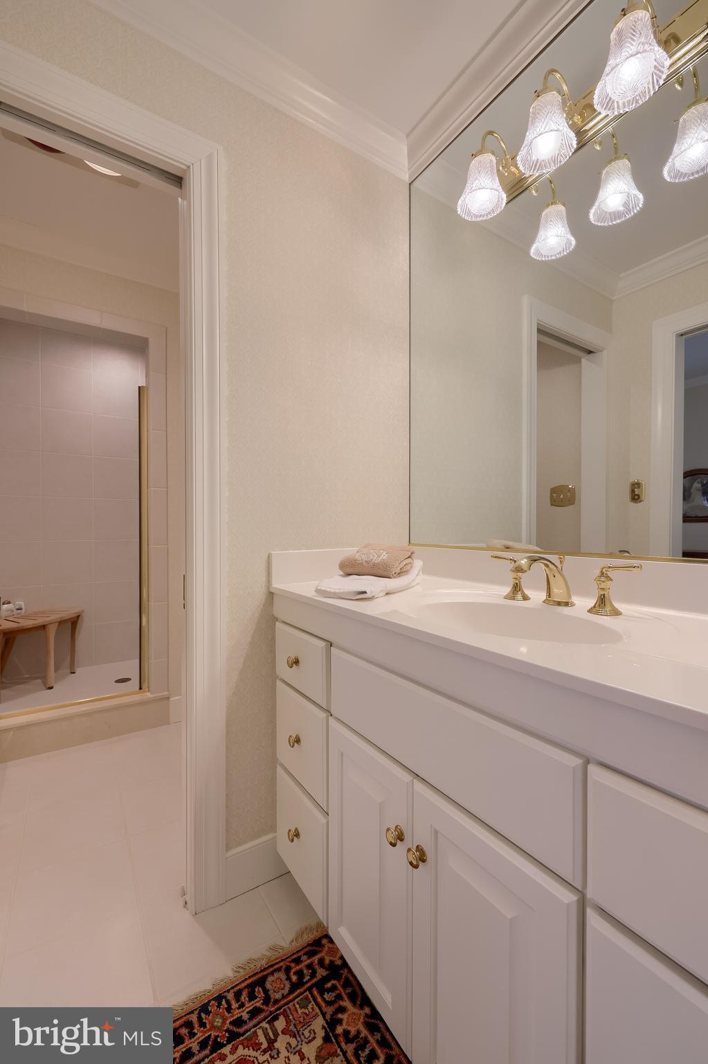 78 Oakhill Drive Lititz, PA 17543 - Photo 58 of 90 a bathroom with a sink and a mirror