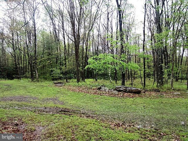 181 Turner Road Grantsville, MD 21536 - Photo 6 of 28 Driveway
