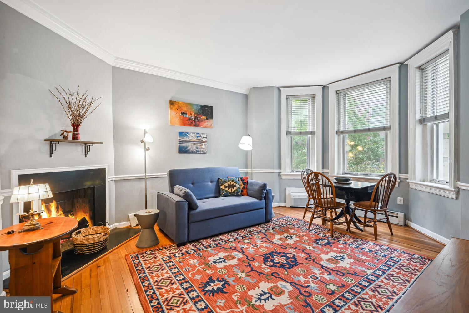1831 Belmont Road Northwest, Unit 201 Washington, DC 20009 - Photo 2 of 11 a living room with furniture and a fireplace