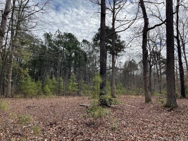 7886 Number 9 Road Gloucester, VA 23061 - Photo 4 of 6