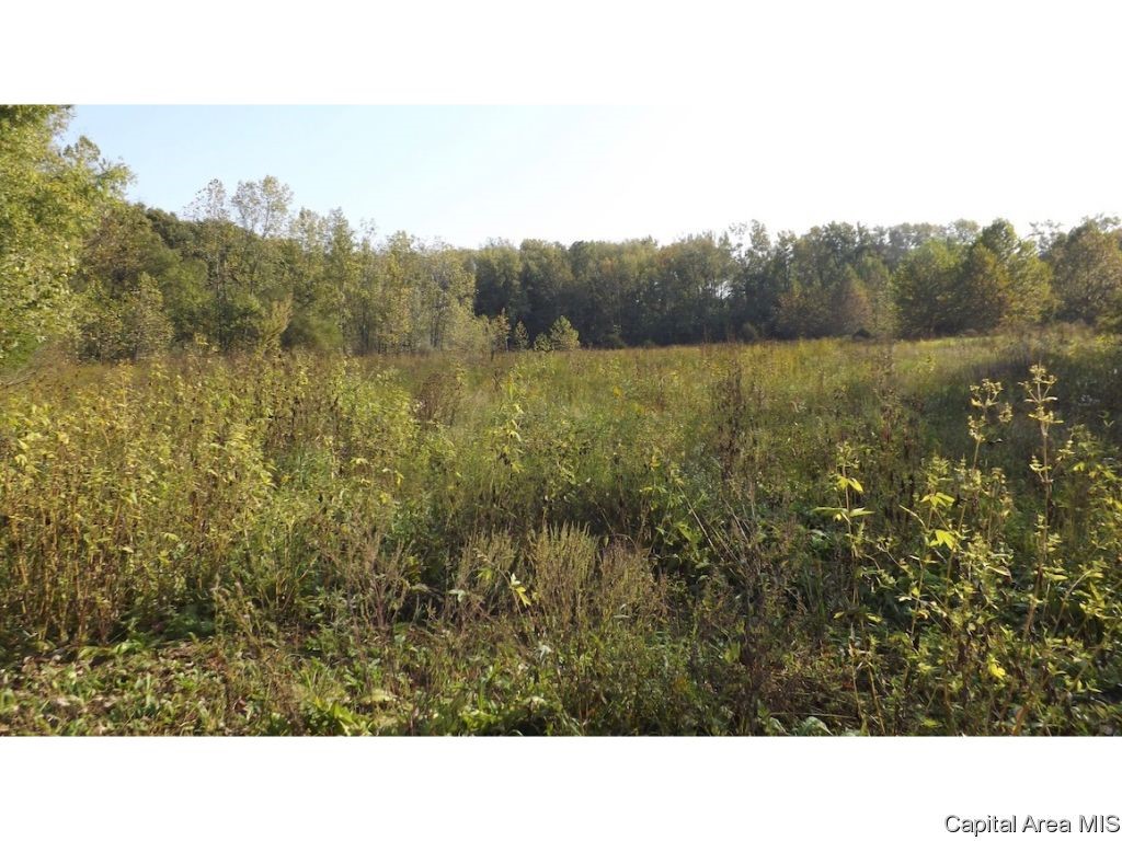 County Road Tennessee, IL 62374 - Photo 11 of 23 Gallery Image 11
