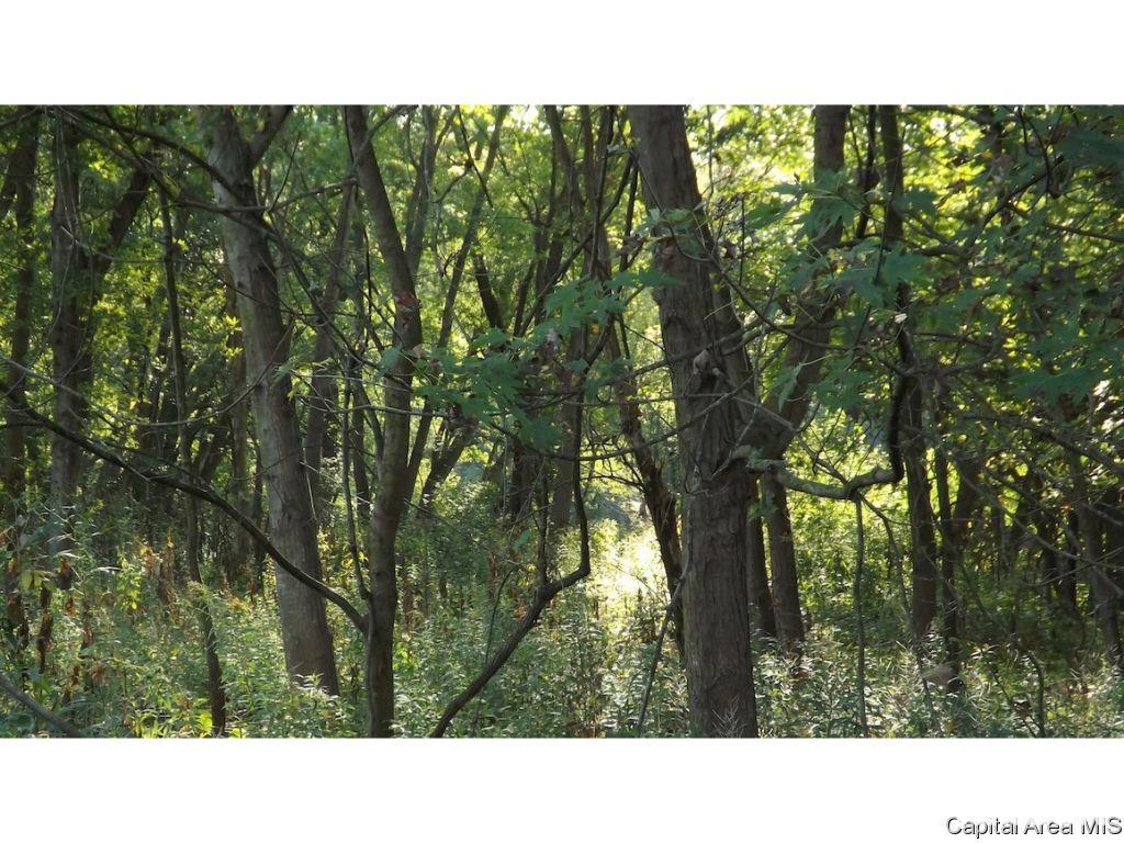 County Road Tennessee, IL 62374 - Photo 14 of 23 Gallery Image 14