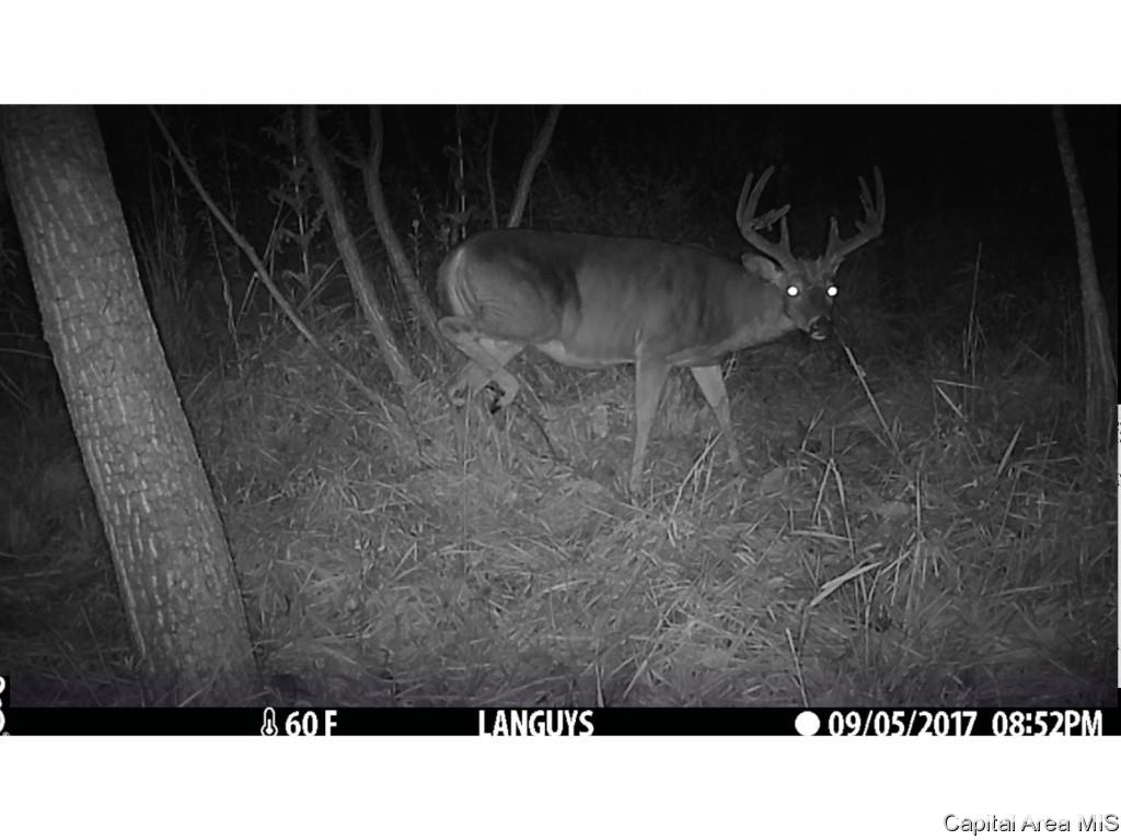 County Road Tennessee, IL 62374 - Photo 17 of 23 Gallery Image 17