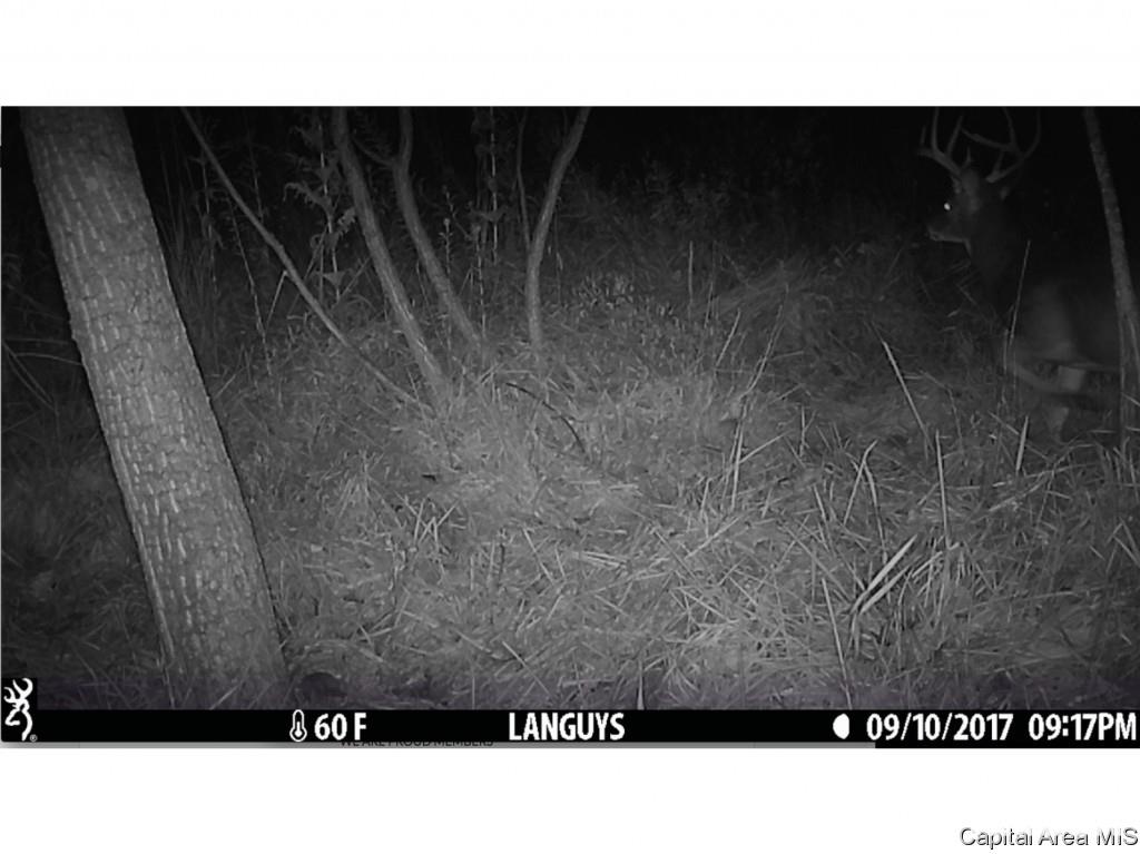County Road Tennessee, IL 62374 - Photo 19 of 23 Gallery Image 19