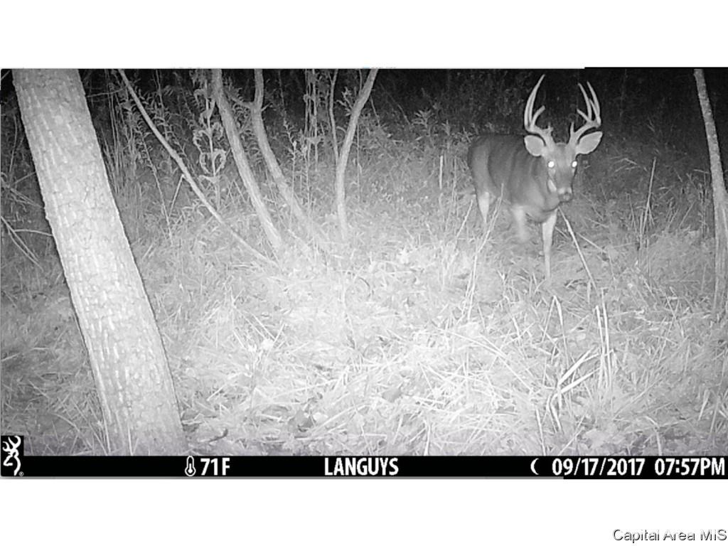 County Road Tennessee, IL 62374 - Photo 21 of 23 Gallery Image 21