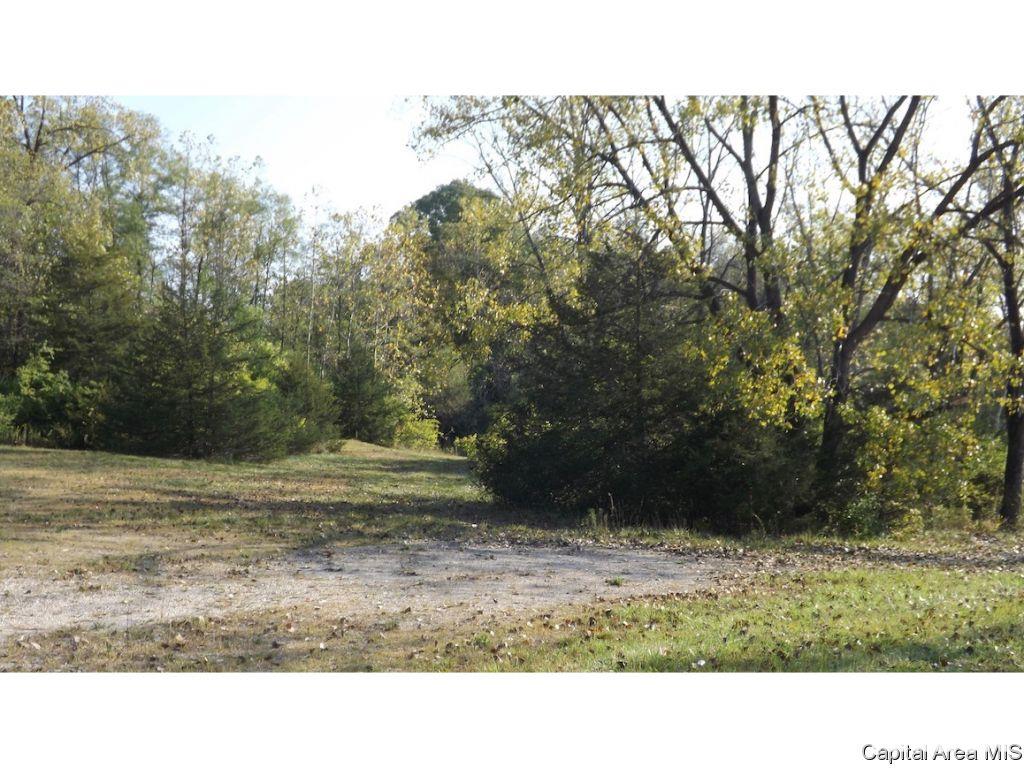 County Road Tennessee, IL 62374 - Photo 4 of 23 Gallery Image 4