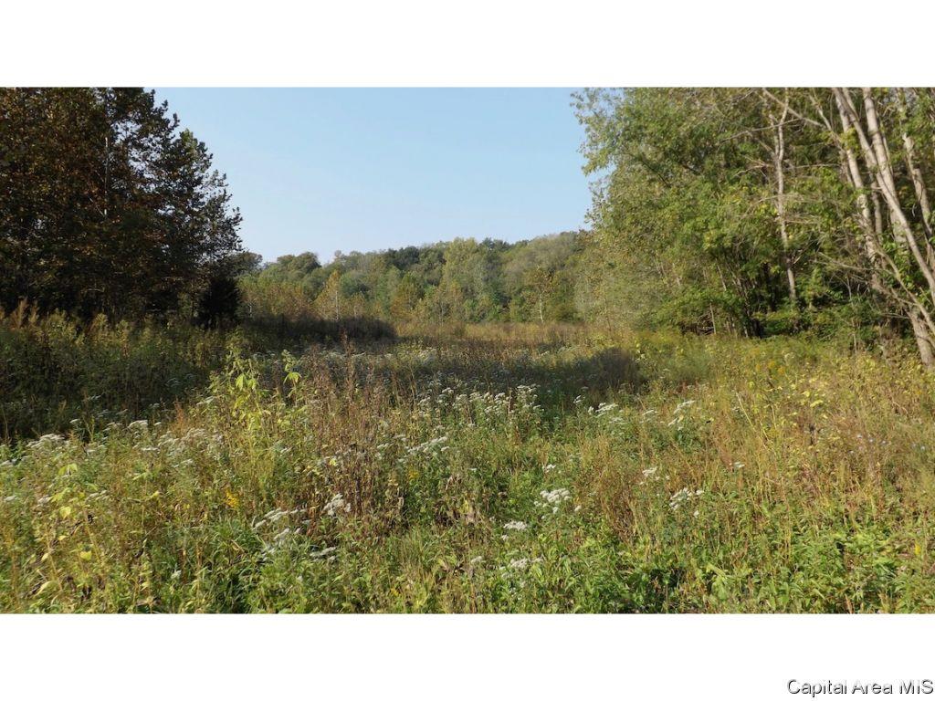 County Road Tennessee, IL 62374 - Photo 10 of 23 Gallery Image 10