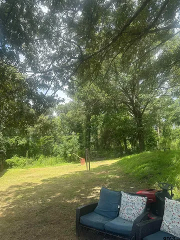 a view of backyard with green space