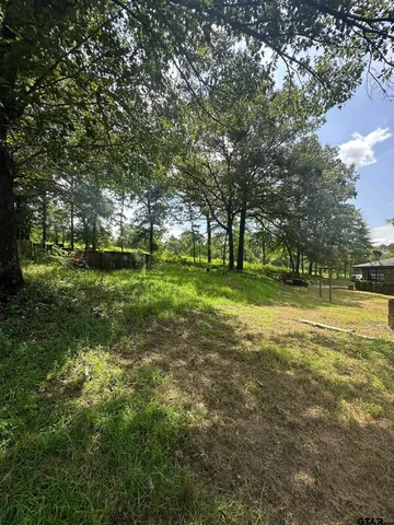 a view of outdoor space with trees all around